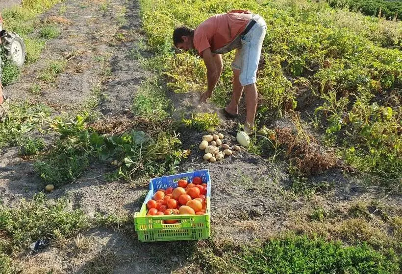 پانسیون Au Jardin Sur L Eau Hortillonnages