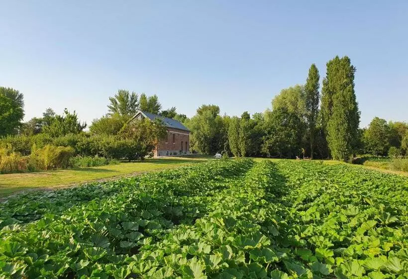 پانسیون Au Jardin Sur L Eau Hortillonnages