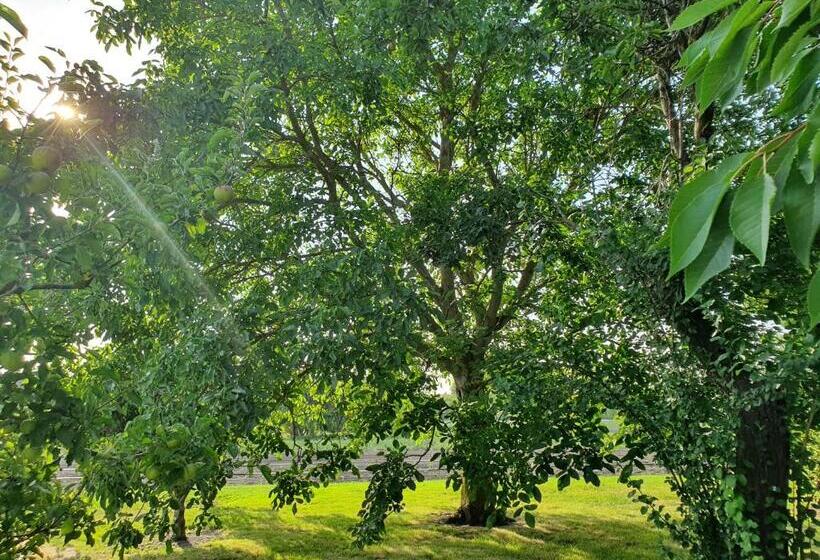 Pensjonat Au Jardin Sur L Eau Hortillonnages