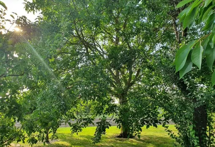 پانسیون Au Jardin Sur L Eau Hortillonnages