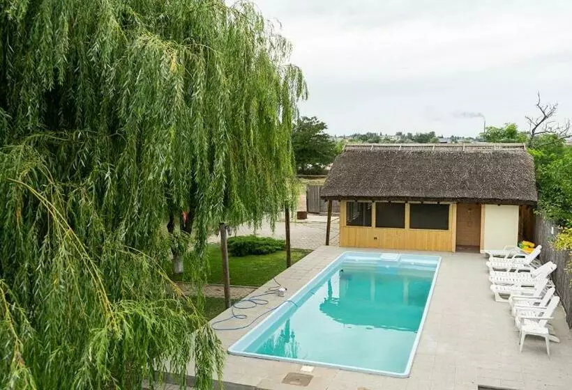 Majatalo Califarul Alb