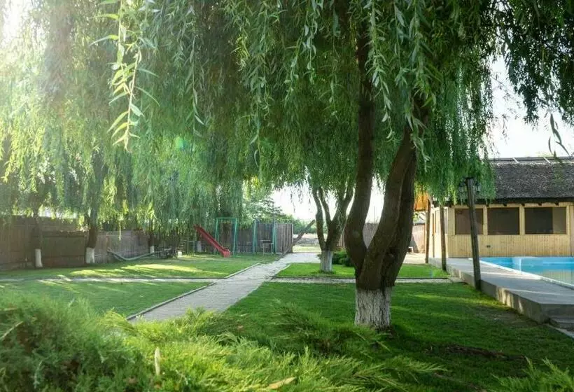 Majatalo Califarul Alb