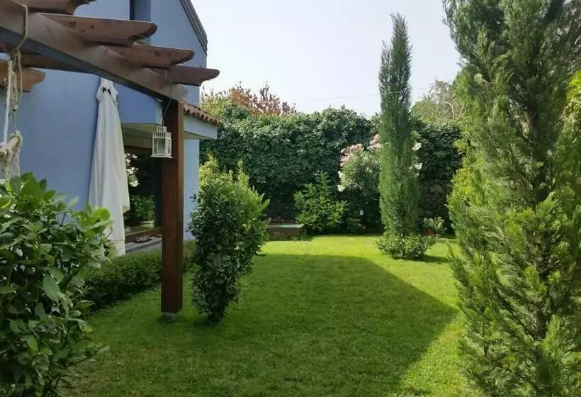 پانسیون L.t. Metis