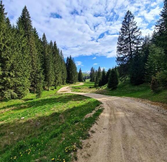 پانسیون Poiana Cristian