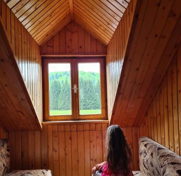 پانسیون Poiana Cristian