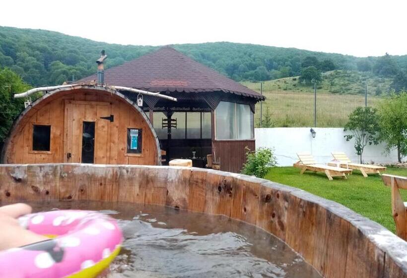 پانسیون Poiana Cristian