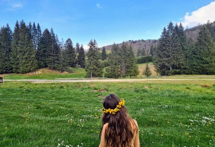 پانسیون Poiana Cristian