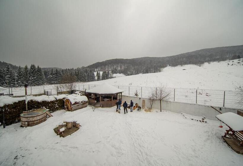 پانسیون Poiana Cristian