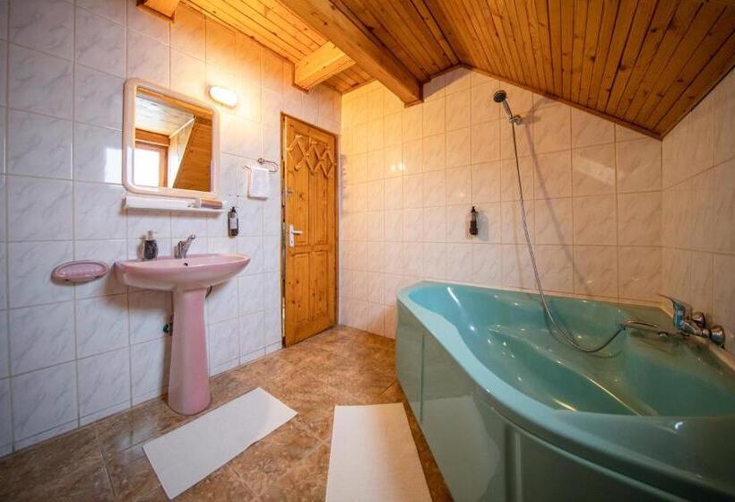 پانسیون Poiana Cristian