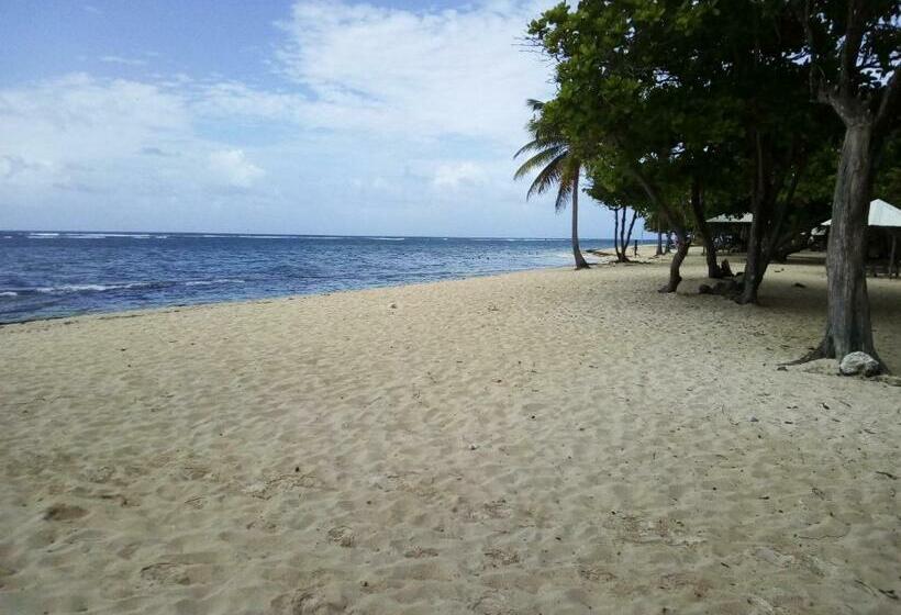 تختخواب و صبحانه Chez Christian Et Lydia