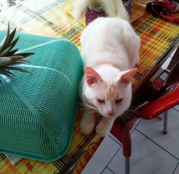 تختخواب و صبحانه Chez Christian Et Lydia