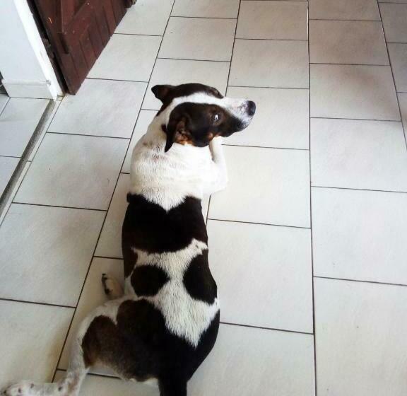 تختخواب و صبحانه Chez Christian Et Lydia