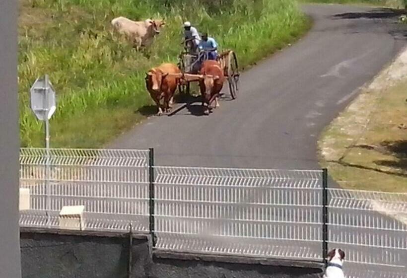 تختخواب و صبحانه Chez Christian Et Lydia