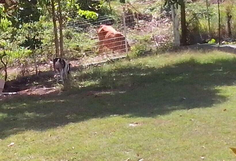 تختخواب و صبحانه Chez Christian Et Lydia