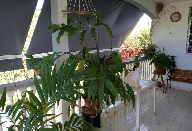 تختخواب و صبحانه Chez Christian Et Lydia