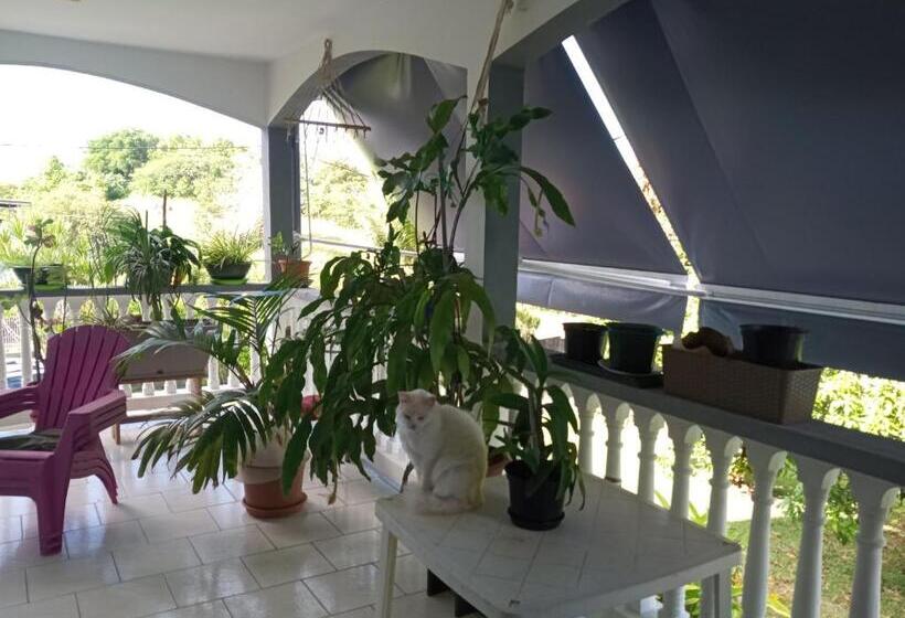 تختخواب و صبحانه Chez Christian Et Lydia