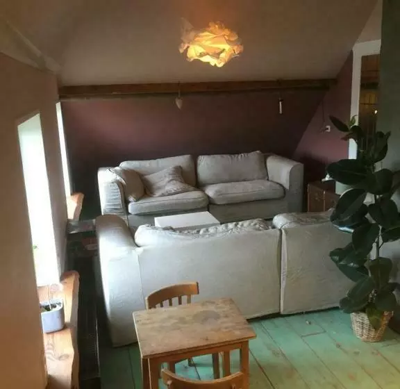 Aamiaismajoitus (B&B) De Distelweide