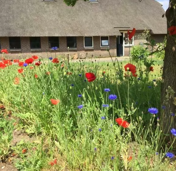 Aamiaismajoitus (B&B) De Distelweide