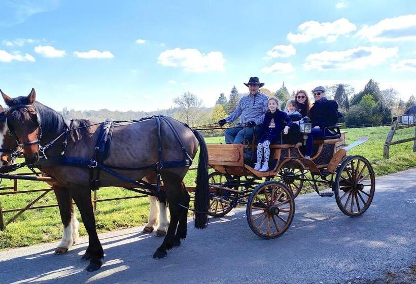 مبيت وإفطار L Herbe Aux Vaches