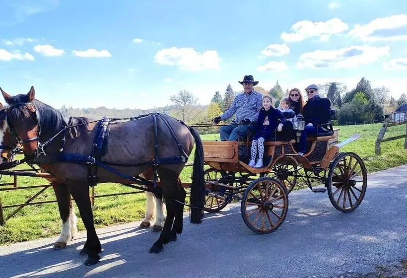 ベッドアンドブレックファースト L Herbe Aux Vaches