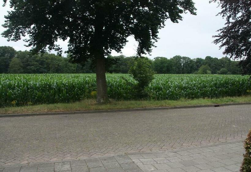 Bed and Breakfast Tisoke