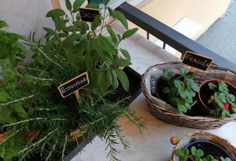 פנסיון Casello68