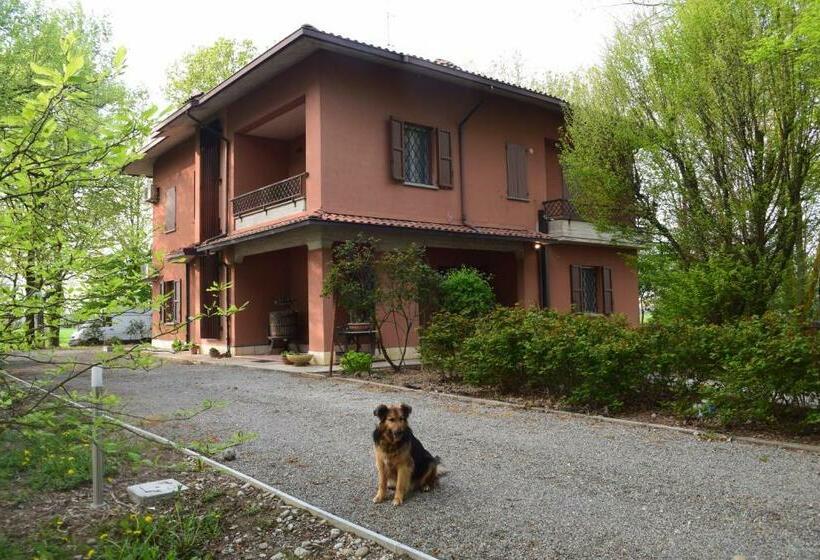 Pensjonat Gambisa Street