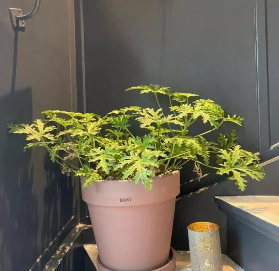 Berglings Boutique Hotell