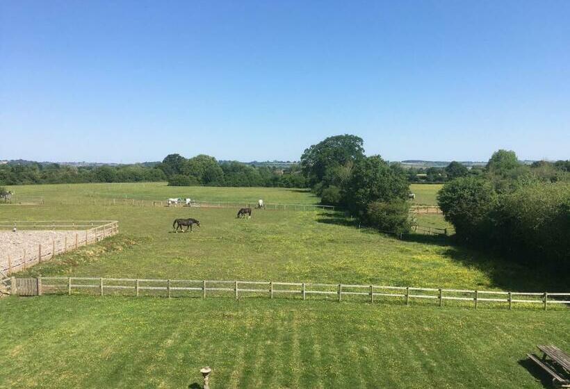 Folly Fields Farm B&b