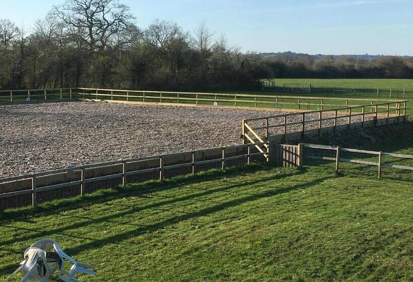 Folly Fields Farm B&b