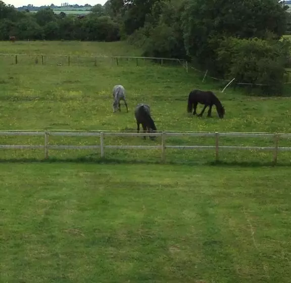 Folly Fields Farm B&b