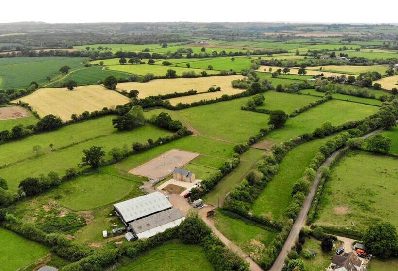 Folly Fields Farm B&b