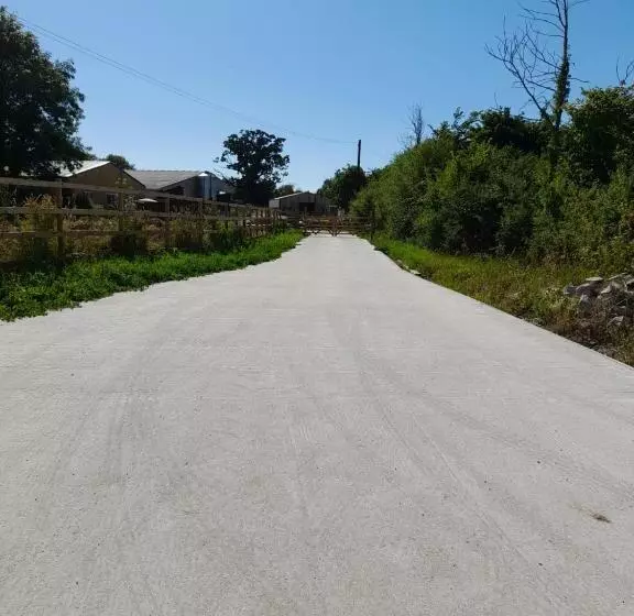 Folly Fields Farm B&b