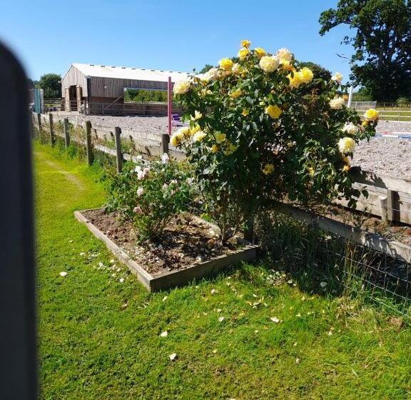 Folly Fields Farm B&b