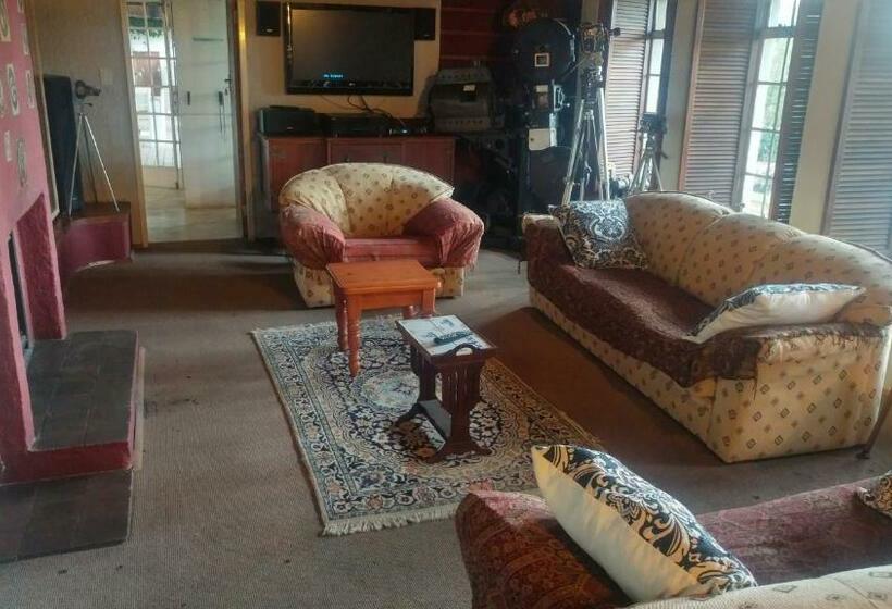 펜션 A Night At The Museum