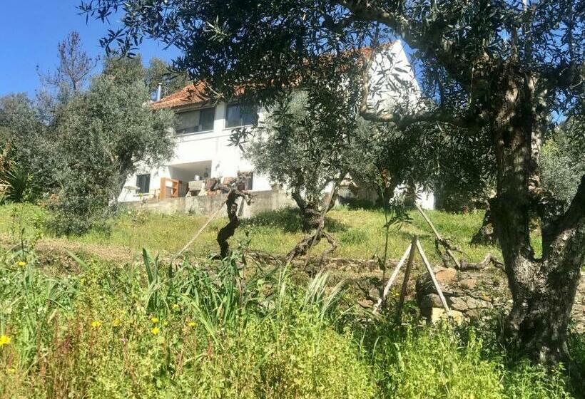 پانسیون Relaxscape