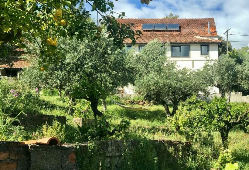 پانسیون Relaxscape