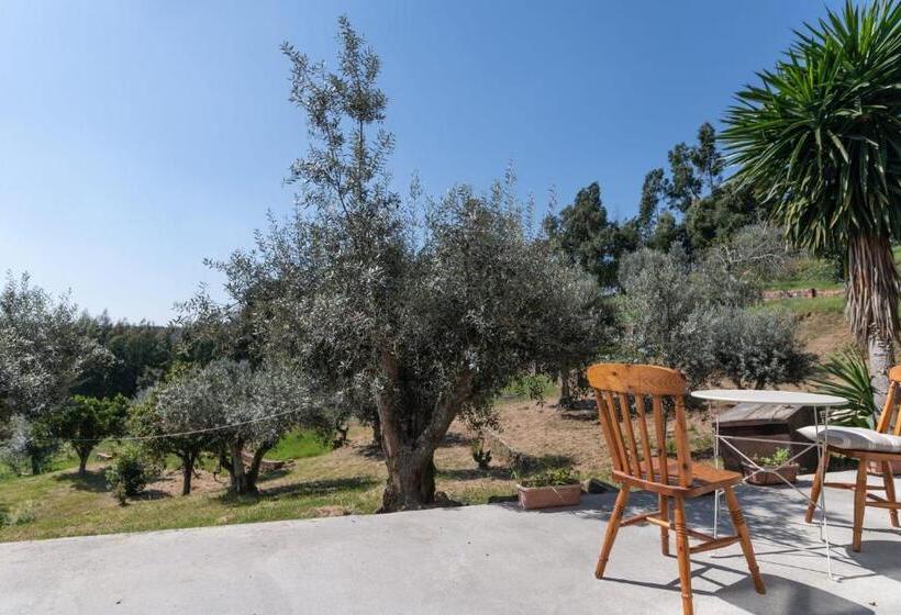 پانسیون Relaxscape