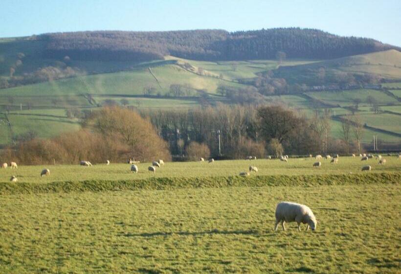 膳宿费 Tegfan Garden Suite