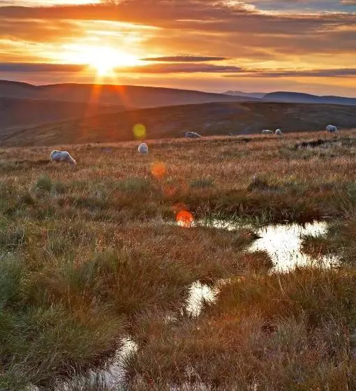 Majatalo Tegfan Garden Suite