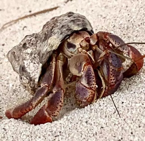 Retkeilymaja Casa Kayab