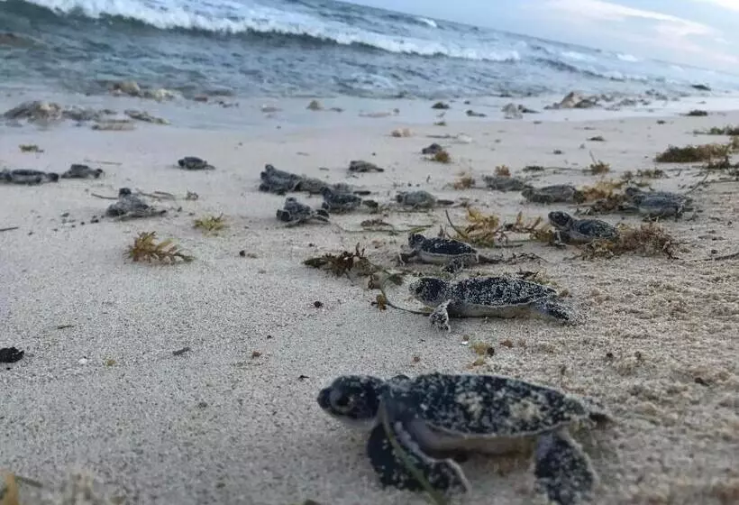 Retkeilymaja Casa Kayab