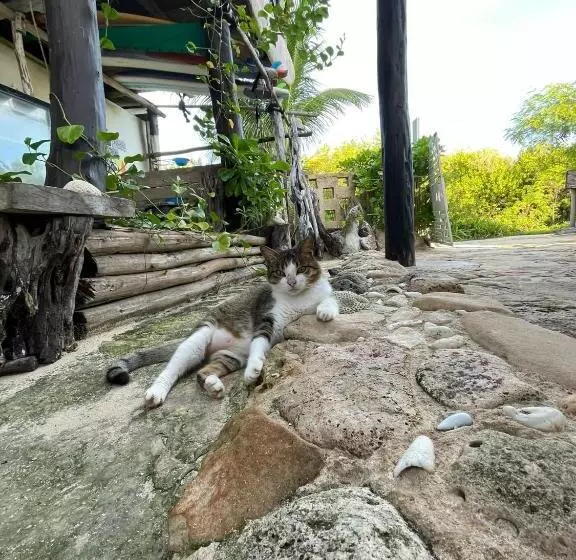 Retkeilymaja Casa Kayab