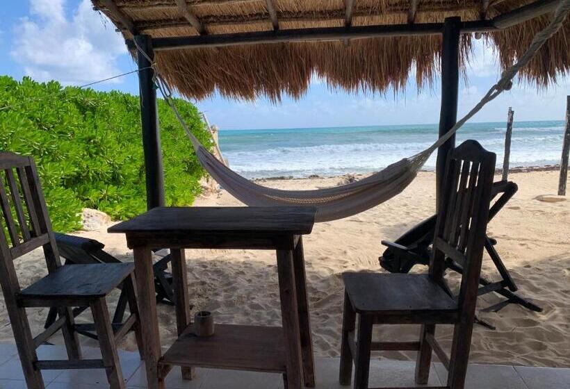 هاستل Casa Kayab