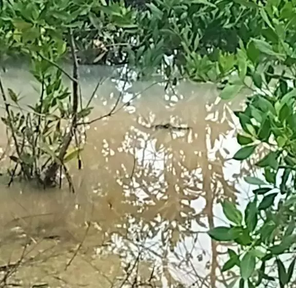 Retkeilymaja Casa Kayab