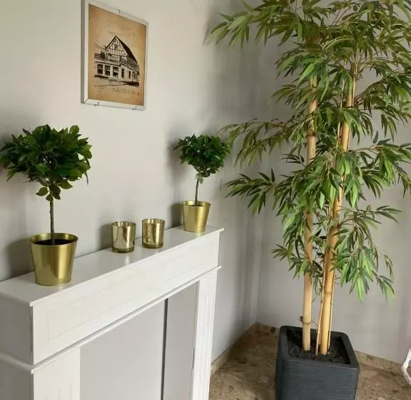 Aamiaismajoitus (B&B) Kellermann