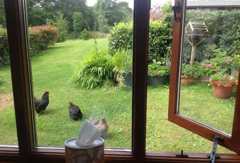 Bed and Breakfast Meadowview