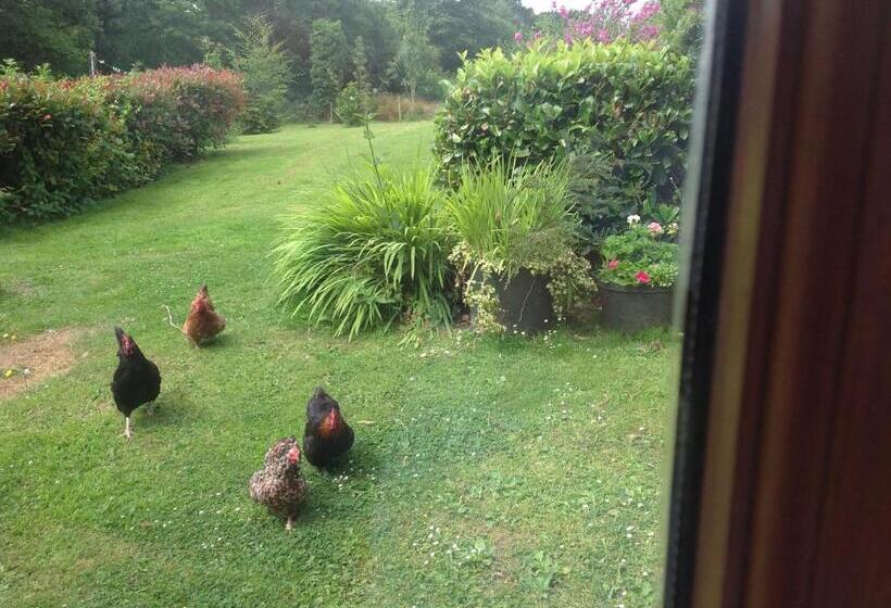 Bed and Breakfast Meadowview