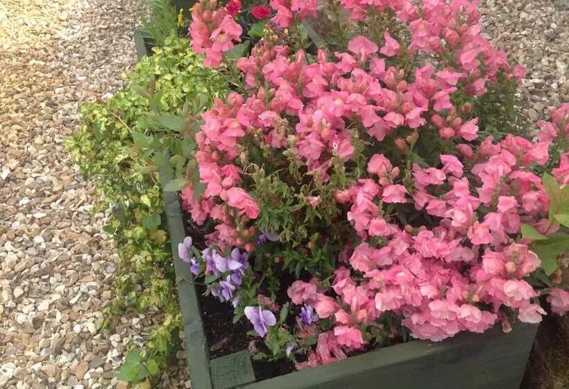 Bed and Breakfast Meadowview