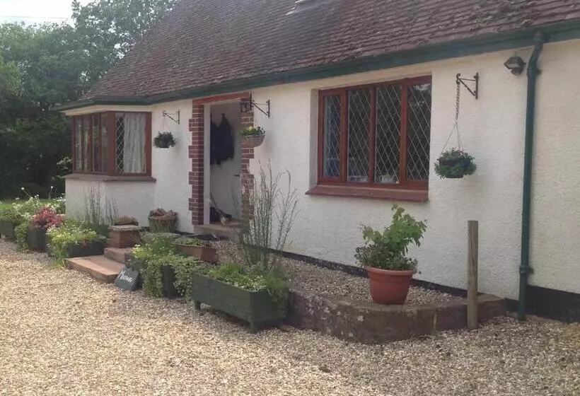 Bed and Breakfast Meadowview